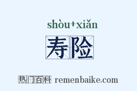 寿险是什么意思的图片